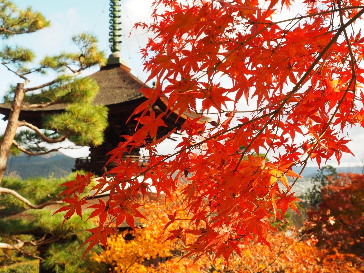 🍁 용이 평온한 절(류온지) 이미지 7